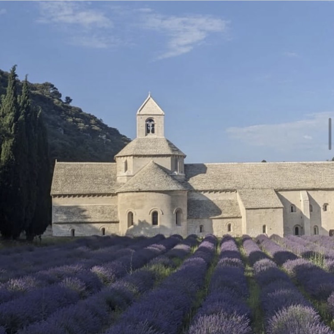 L'Abbaye de Sénanque dans la lavande